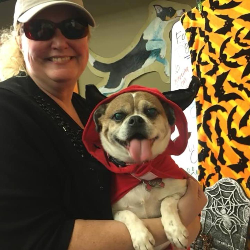 Meet your Posher, Lissa